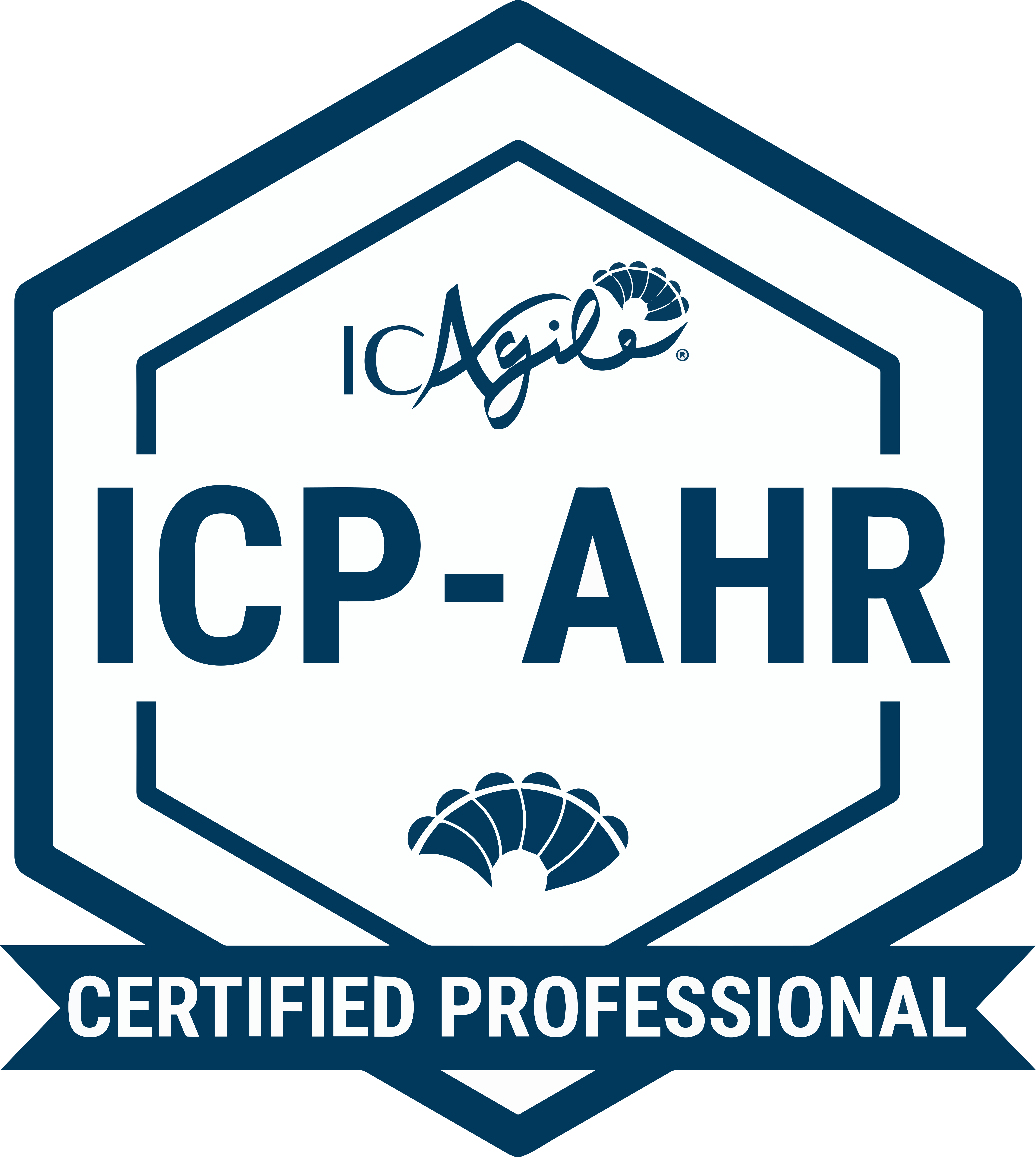 ICP-AHR Certified Professional
